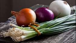 Hormozgan a major national hub for onion production, official says 